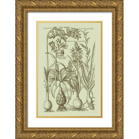 Garden of Flora I Gold Ornate Wood Framed Art Print with Double Matting by Vision Studio