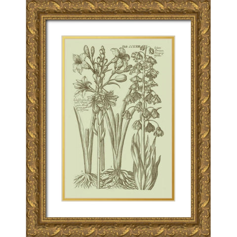 Garden of Flora II Gold Ornate Wood Framed Art Print with Double Matting by Vision Studio
