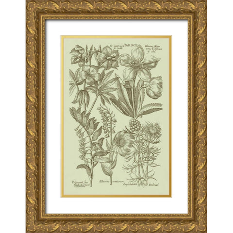Garden of Flora III Gold Ornate Wood Framed Art Print with Double Matting by Vision Studio