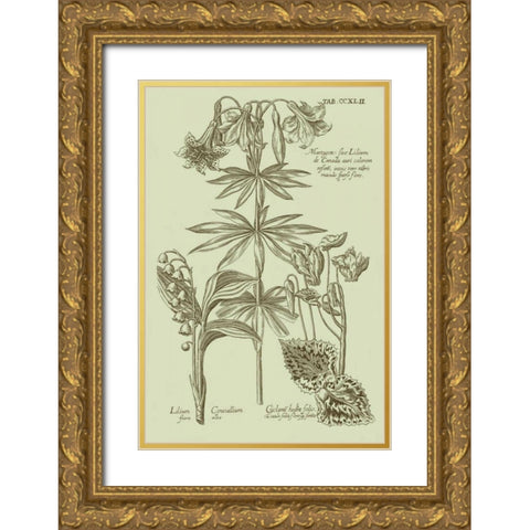 Garden of Flora IV Gold Ornate Wood Framed Art Print with Double Matting by Vision Studio