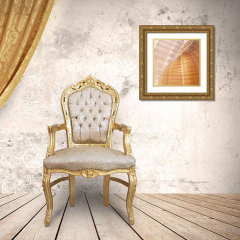 Organic Elements III Gold Ornate Wood Framed Art Print with Double Matting by Vision Studio