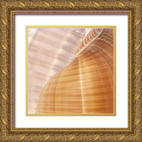 Organic Elements III Gold Ornate Wood Framed Art Print with Double Matting by Vision Studio
