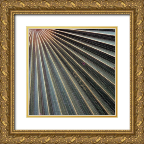 Organic Elements VI Gold Ornate Wood Framed Art Print with Double Matting by Vision Studio