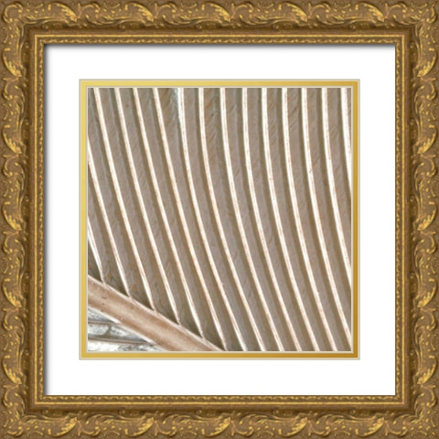 Organic Elements VIII Gold Ornate Wood Framed Art Print with Double Matting by Vision Studio