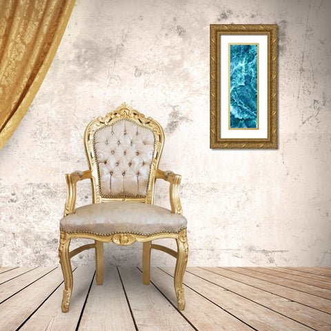 Sea Spray III Gold Ornate Wood Framed Art Print with Double Matting by Vision Studio