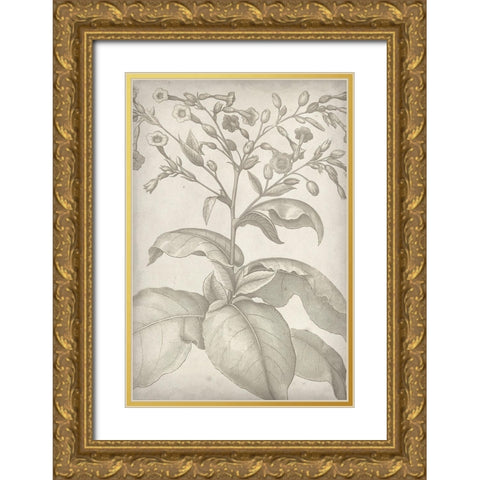 Classic Romance I Gold Ornate Wood Framed Art Print with Double Matting by Vision Studio