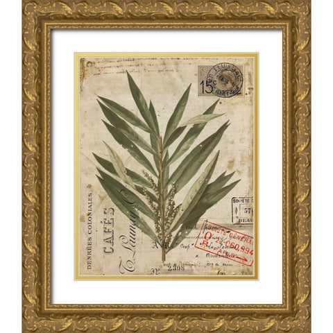 Vintage Natures Greenery I Gold Ornate Wood Framed Art Print with Double Matting by Vision Studio