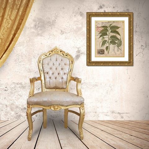 Vintage Natures Greenery II Gold Ornate Wood Framed Art Print with Double Matting by Vision Studio