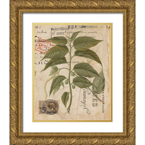 Vintage Natures Greenery II Gold Ornate Wood Framed Art Print with Double Matting by Vision Studio