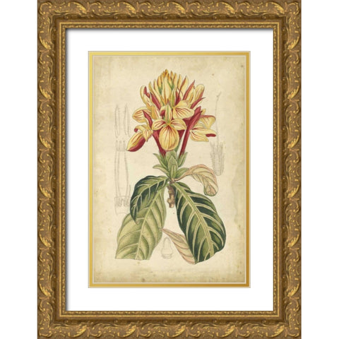 Curtis Tropical Blooms IV Gold Ornate Wood Framed Art Print with Double Matting by Curtis