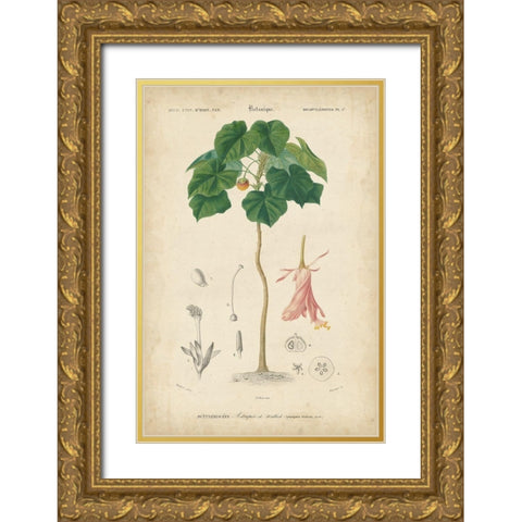 Tropical Botanique V Gold Ornate Wood Framed Art Print with Double Matting by Vision Studio