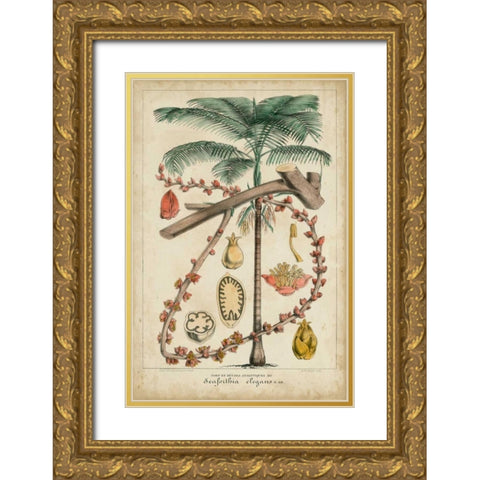 Palma Exotica II Gold Ornate Wood Framed Art Print with Double Matting by Vision Studio