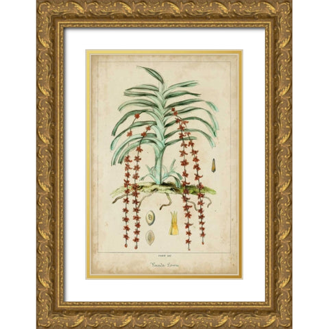 Palma Exotica IV Gold Ornate Wood Framed Art Print with Double Matting by Vision Studio