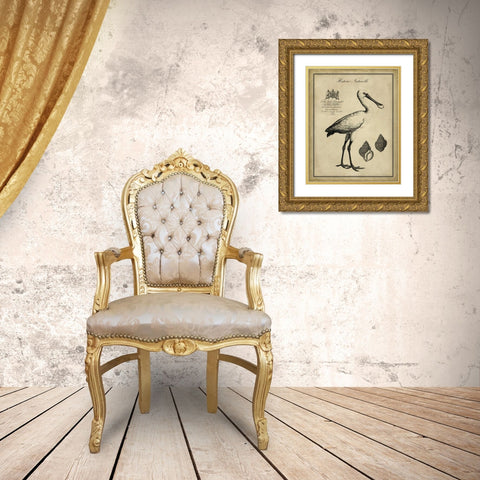 Antiquarian Spoonbill Gold Ornate Wood Framed Art Print with Double Matting by Vision Studio