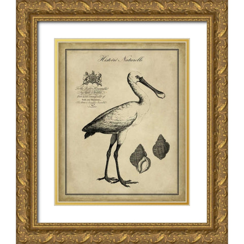 Antiquarian Spoonbill Gold Ornate Wood Framed Art Print with Double Matting by Vision Studio