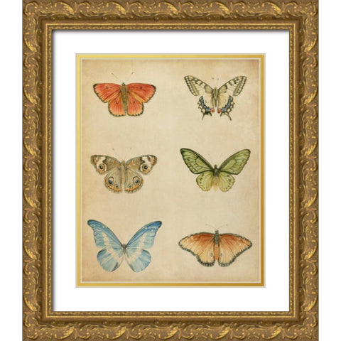 Butterfly Varietal II Gold Ornate Wood Framed Art Print with Double Matting by Meagher, Megan