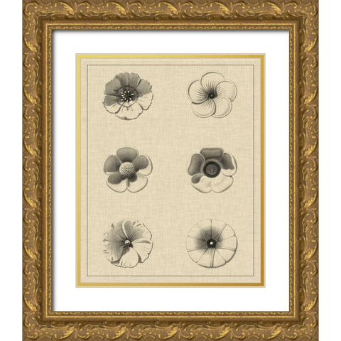 Floral Rosette I Gold Ornate Wood Framed Art Print with Double Matting by Vision Studio