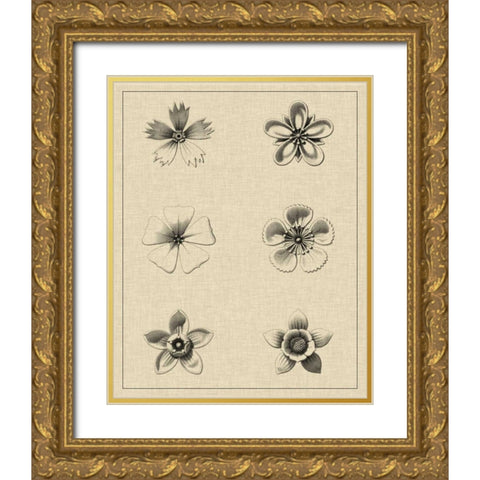 Floral Rosette II Gold Ornate Wood Framed Art Print with Double Matting by Vision Studio
