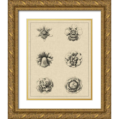 Floral Rosette III Gold Ornate Wood Framed Art Print with Double Matting by Vision Studio