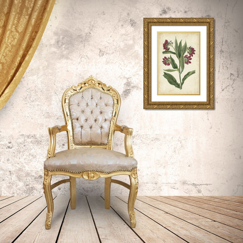 Botanical Display IV Gold Ornate Wood Framed Art Print with Double Matting by Vision Studio