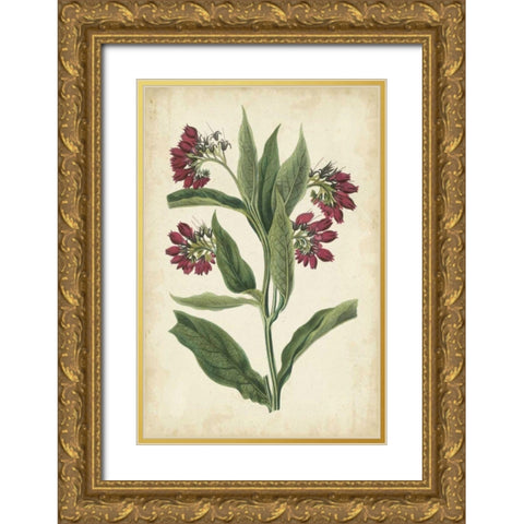 Botanical Display IV Gold Ornate Wood Framed Art Print with Double Matting by Vision Studio