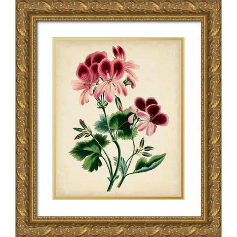 Natures Romance IV Gold Ornate Wood Framed Art Print with Double Matting by Vision Studio