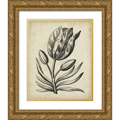 Distinguished Floral I Gold Ornate Wood Framed Art Print with Double Matting by Vision Studio