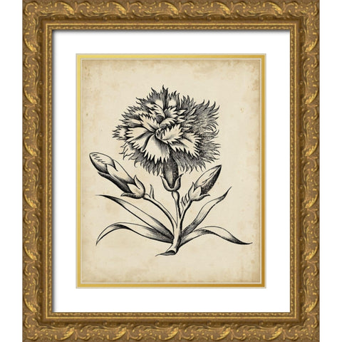Distinguished Floral III Gold Ornate Wood Framed Art Print with Double Matting by Vision Studio