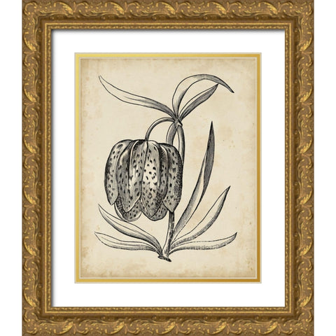 Distinguished Floral IV Gold Ornate Wood Framed Art Print with Double Matting by Vision Studio