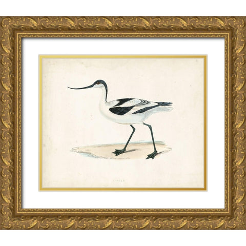 Morris Sandpiper IV Gold Ornate Wood Framed Art Print with Double Matting by Morris