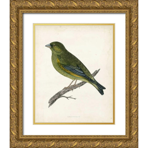 Morris Greenfinch Gold Ornate Wood Framed Art Print with Double Matting by Morris