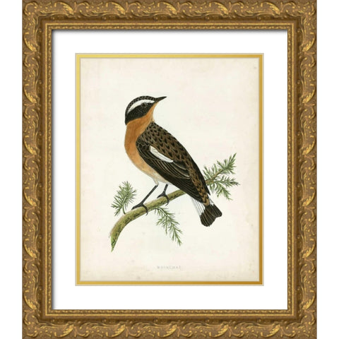 Morris Whinchat Gold Ornate Wood Framed Art Print with Double Matting by Morris