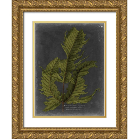 Foliage Dramatique I Gold Ornate Wood Framed Art Print with Double Matting by Vision Studio