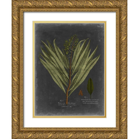 Foliage Dramatique II Gold Ornate Wood Framed Art Print with Double Matting by Vision Studio