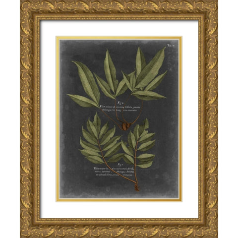 Foliage Dramatique IV Gold Ornate Wood Framed Art Print with Double Matting by Vision Studio