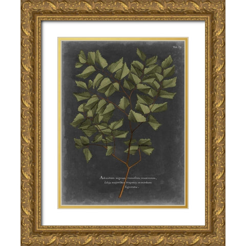 Foliage Dramatique V Gold Ornate Wood Framed Art Print with Double Matting by Vision Studio