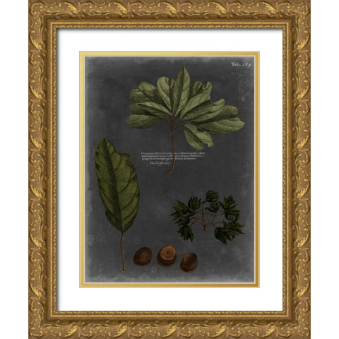 Foliage Dramatique VI Gold Ornate Wood Framed Art Print with Double Matting by Vision Studio