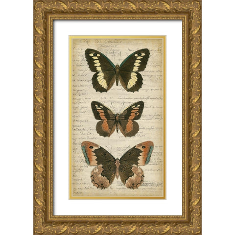 Butterfly Script I Gold Ornate Wood Framed Art Print with Double Matting by Vision Studio