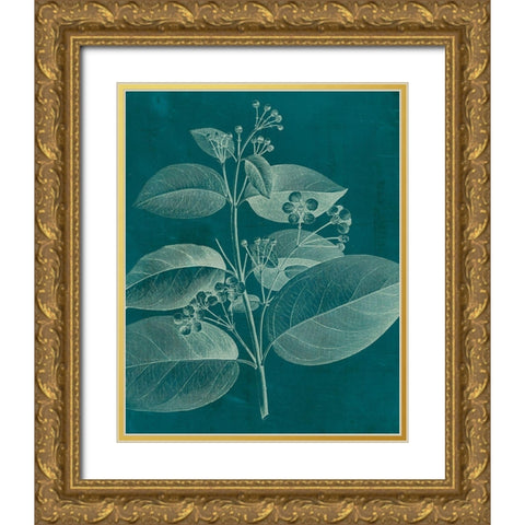 Modern Botany II Gold Ornate Wood Framed Art Print with Double Matting by Vision Studio