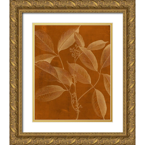 Modern Botany VI Gold Ornate Wood Framed Art Print with Double Matting by Vision Studio