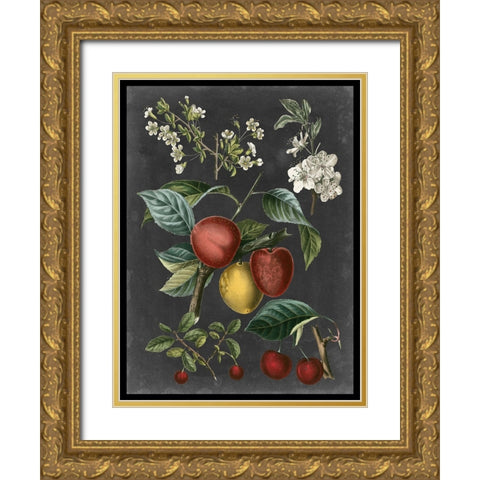 Orchard Varieties III Gold Ornate Wood Framed Art Print with Double Matting by Vision Studio