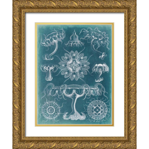 Sealife Blueprint III Gold Ornate Wood Framed Art Print with Double Matting by Vision Studio