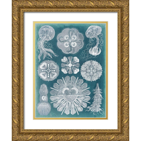 Sealife Blueprint IV Gold Ornate Wood Framed Art Print with Double Matting by Vision Studio