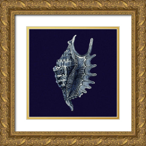 Indigo Shells VI Gold Ornate Wood Framed Art Print with Double Matting by Vision Studio