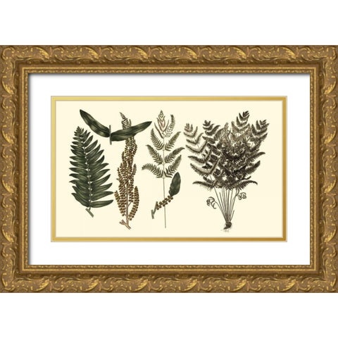 Fern Leaf Folio I Gold Ornate Wood Framed Art Print with Double Matting by Oeder, Georg C.