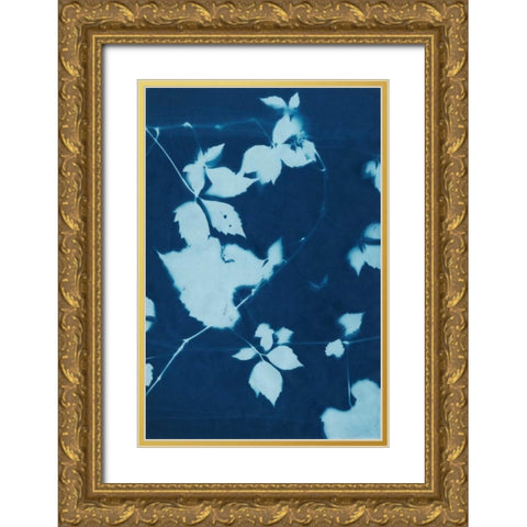 Cyanotype No.11 Gold Ornate Wood Framed Art Print with Double Matting by Zarris, Chariklia
