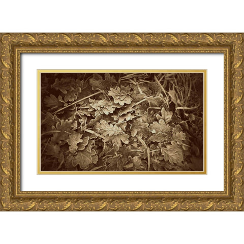 Autumn Leaves Gold Ornate Wood Framed Art Print with Double Matting by Bell, Lillian