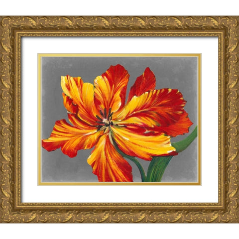 Tulip Portrait I Gold Ornate Wood Framed Art Print with Double Matting by OToole, Tim