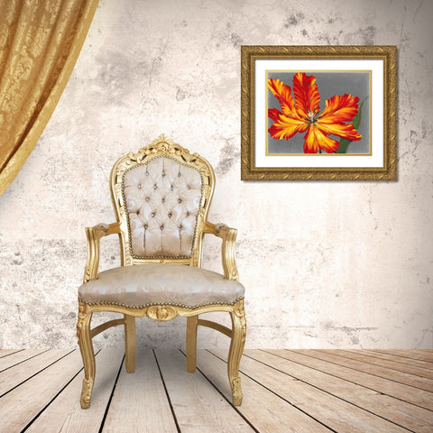 Tulip Portrait II Gold Ornate Wood Framed Art Print with Double Matting by OToole, Tim