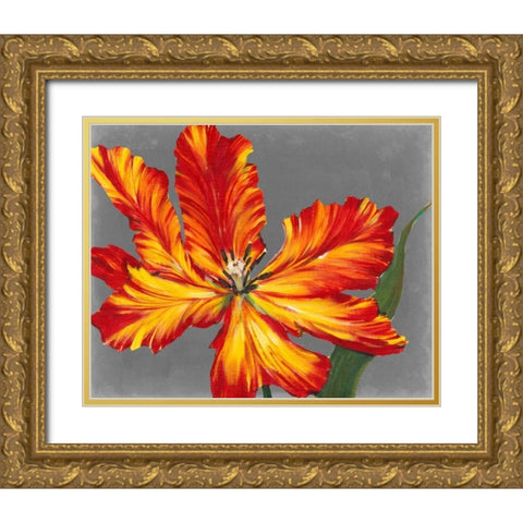 Tulip Portrait II Gold Ornate Wood Framed Art Print with Double Matting by OToole, Tim